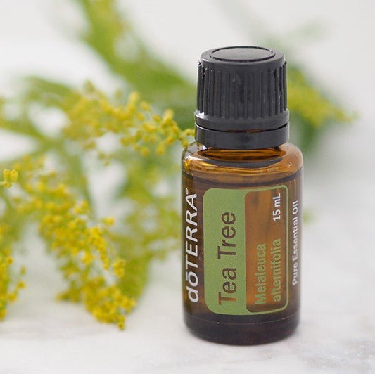 doTERRA Tea Tree Essential Blend 15ml-Aster & Ruby