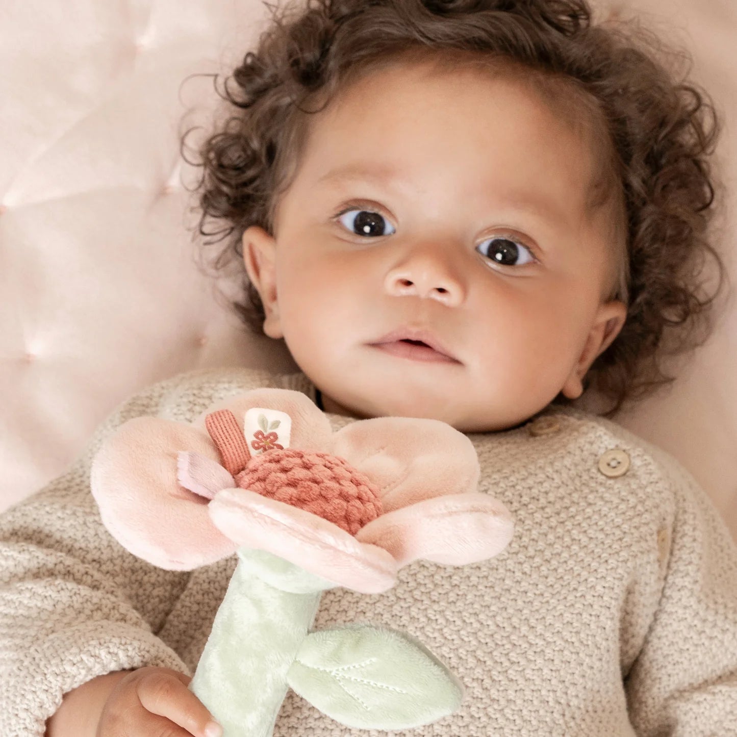 Fairy Garden Rattle Flower - Aster & Ruby