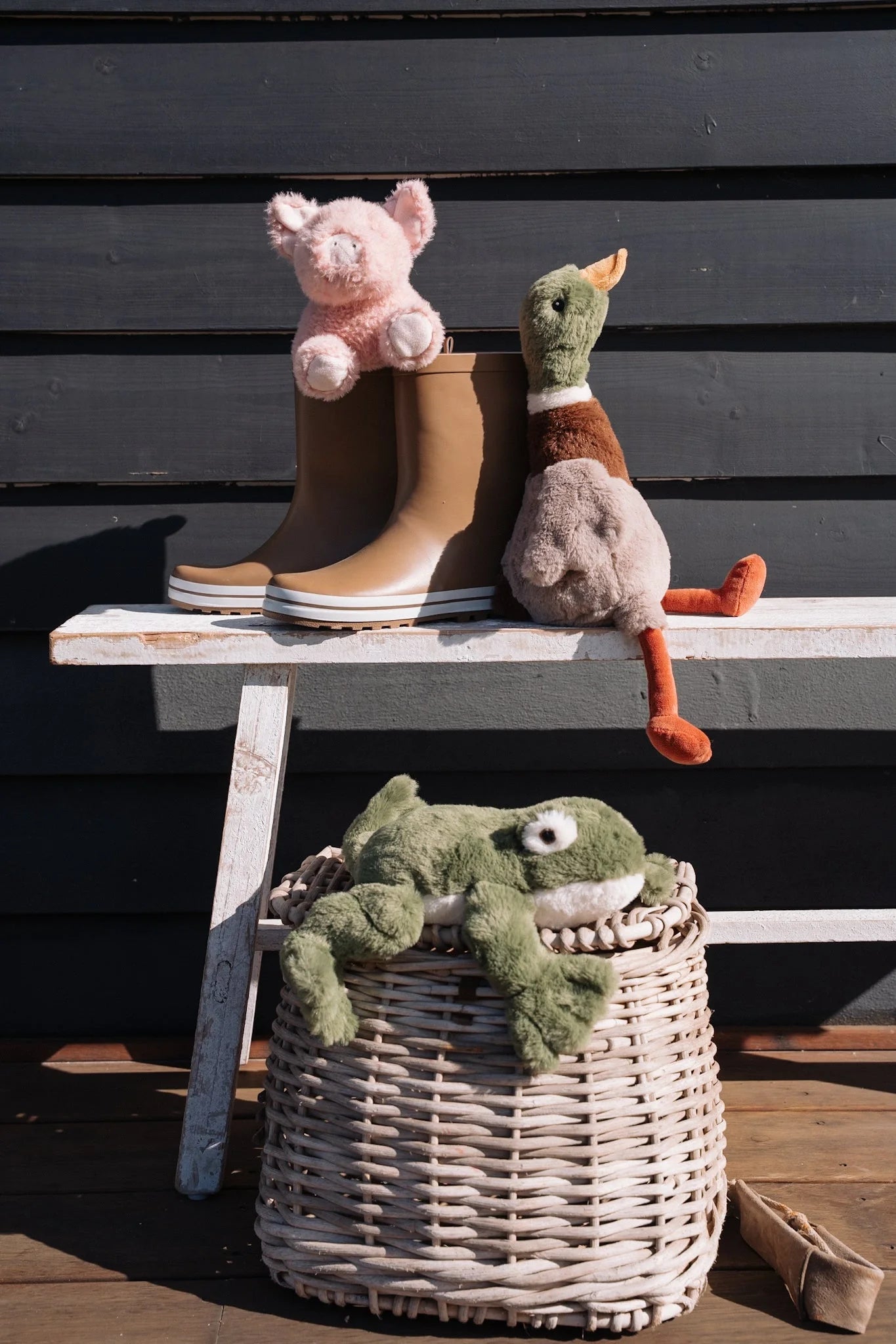 Hugo the Mallard Duck