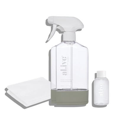 Home Glass & Mirror Cleaning Kit