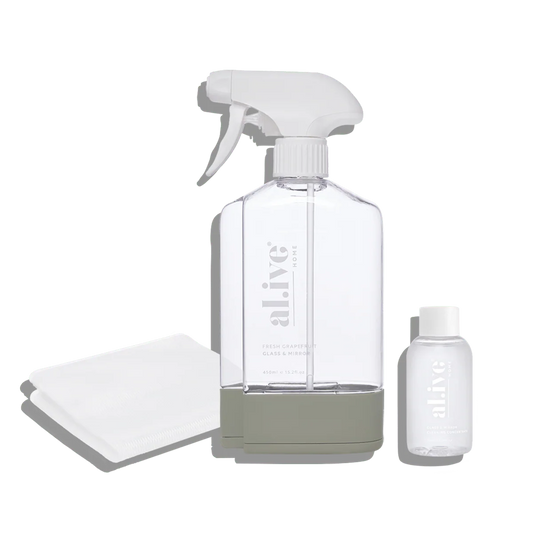 Home Glass & Mirror Cleaning Kit