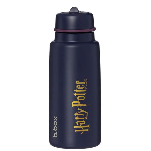 Harry Potter 1L insulated flip top bottle - Aster & Ruby