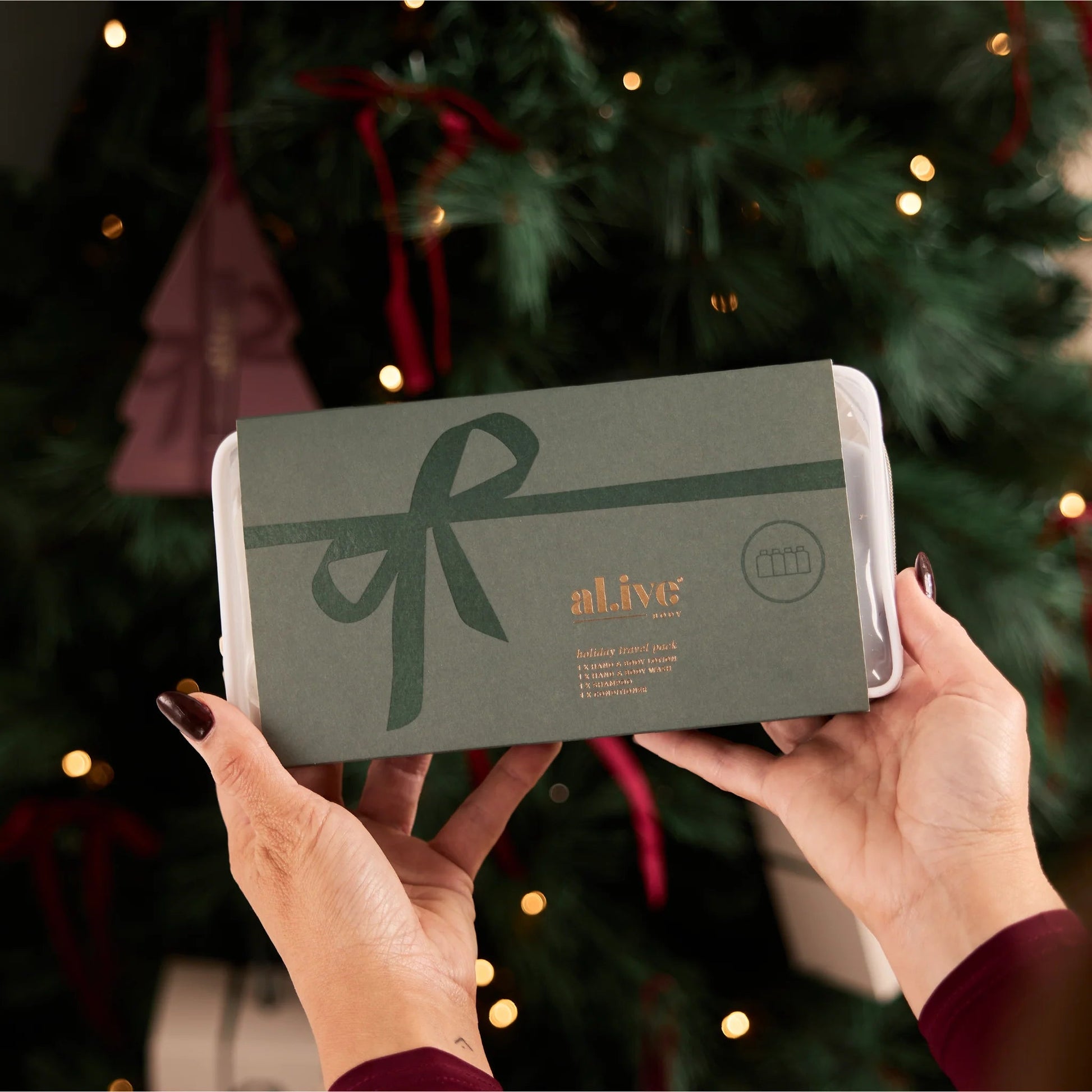 Holiday Hair & Body Travel Pack - Aster & Ruby