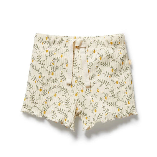 Lemon Leaf Organic Short - Aster & Ruby