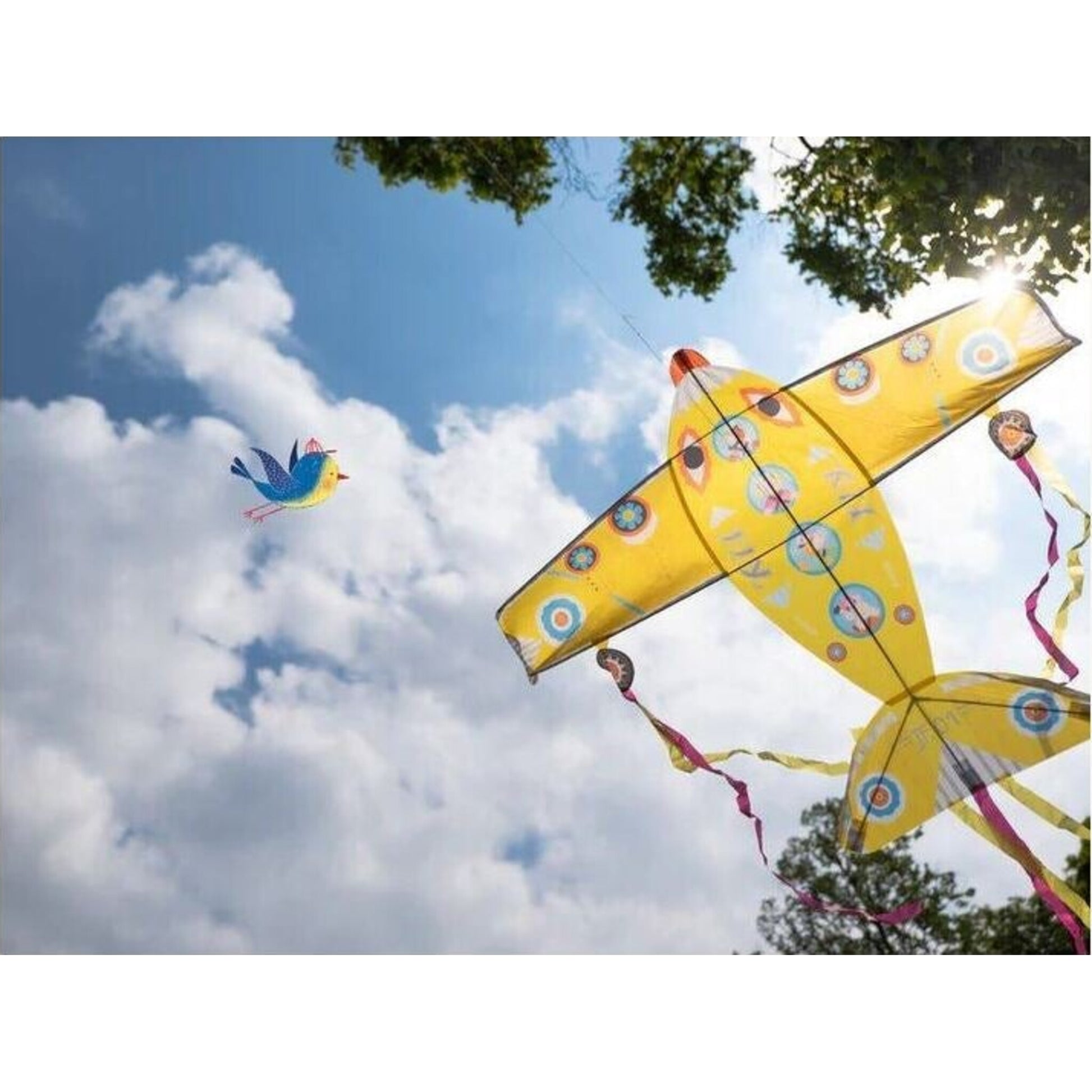 Djeco Maxi Plane Kite | Aster & Ruby