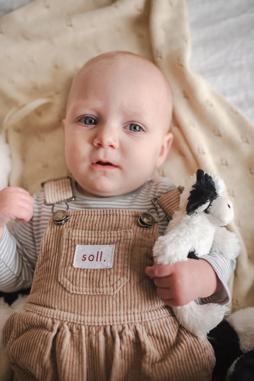 Mini Clover the Cow Rattle Black