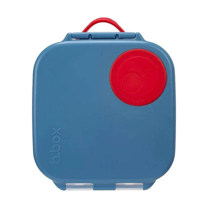 Mini Lunchbox - Aster & Ruby