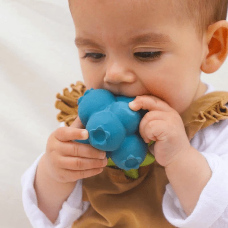 Oli & Carol Jerry the Blueberry Baby Teether-Aster & Ruby