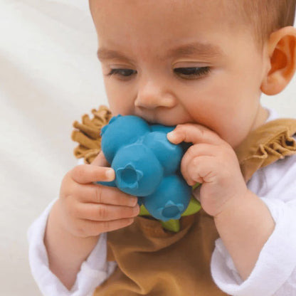 Oli & Carol Jerry the Blueberry Baby Teether-Aster & Ruby