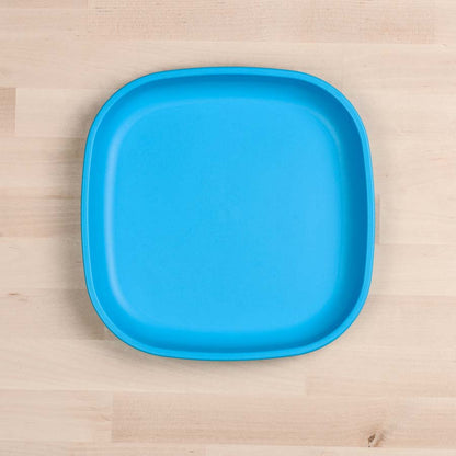 Large Flat Plate