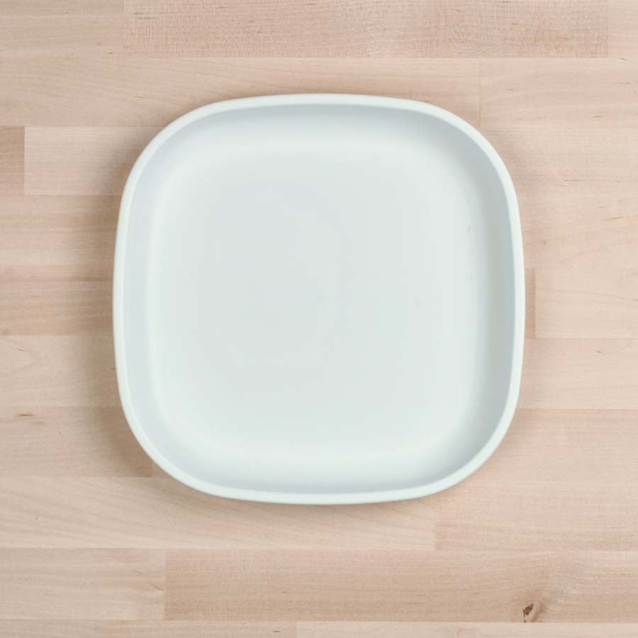 Large Flat Plate