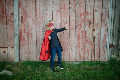 Reversible Spider & Bat Cape with Mask – 4-6 – Aster & Ruby