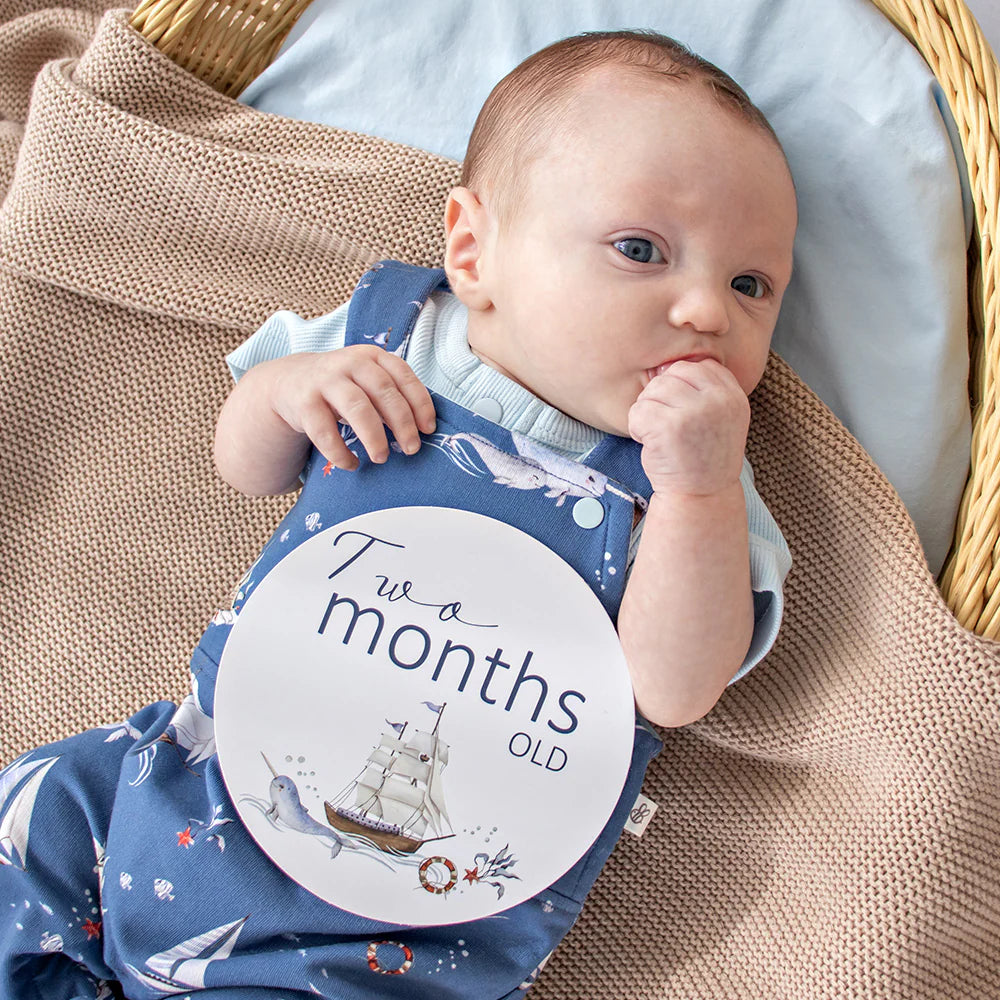 Set Sail & Navy Reversible Milestone Cards