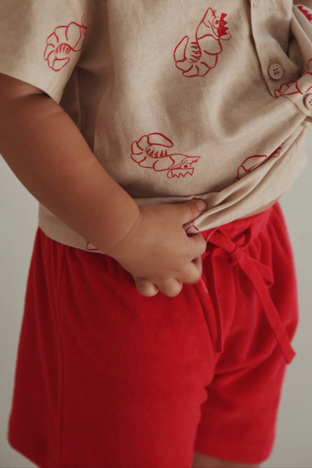 SHORTS | SHAWN THE PRAWN - Aster & Ruby