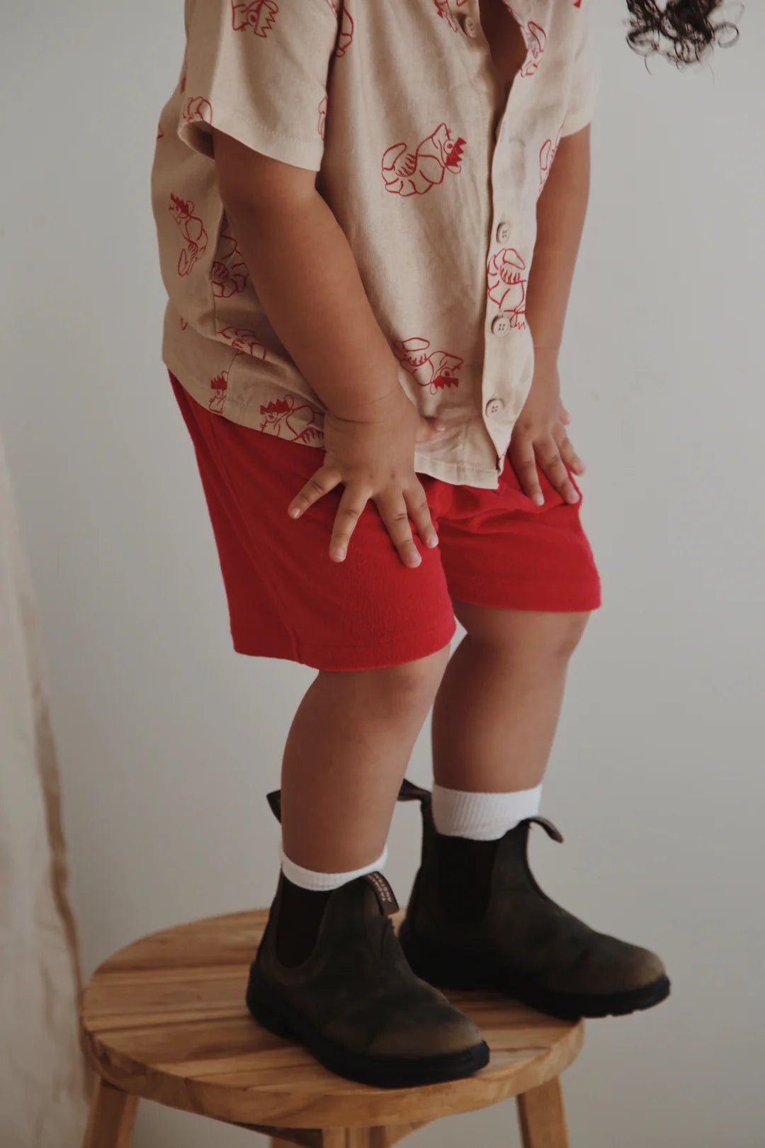 SHORTS | SHAWN THE PRAWN - Aster & Ruby