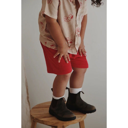 Ziggy Lou SHORTS | SHAWN THE PRAWN | Aster & Ruby