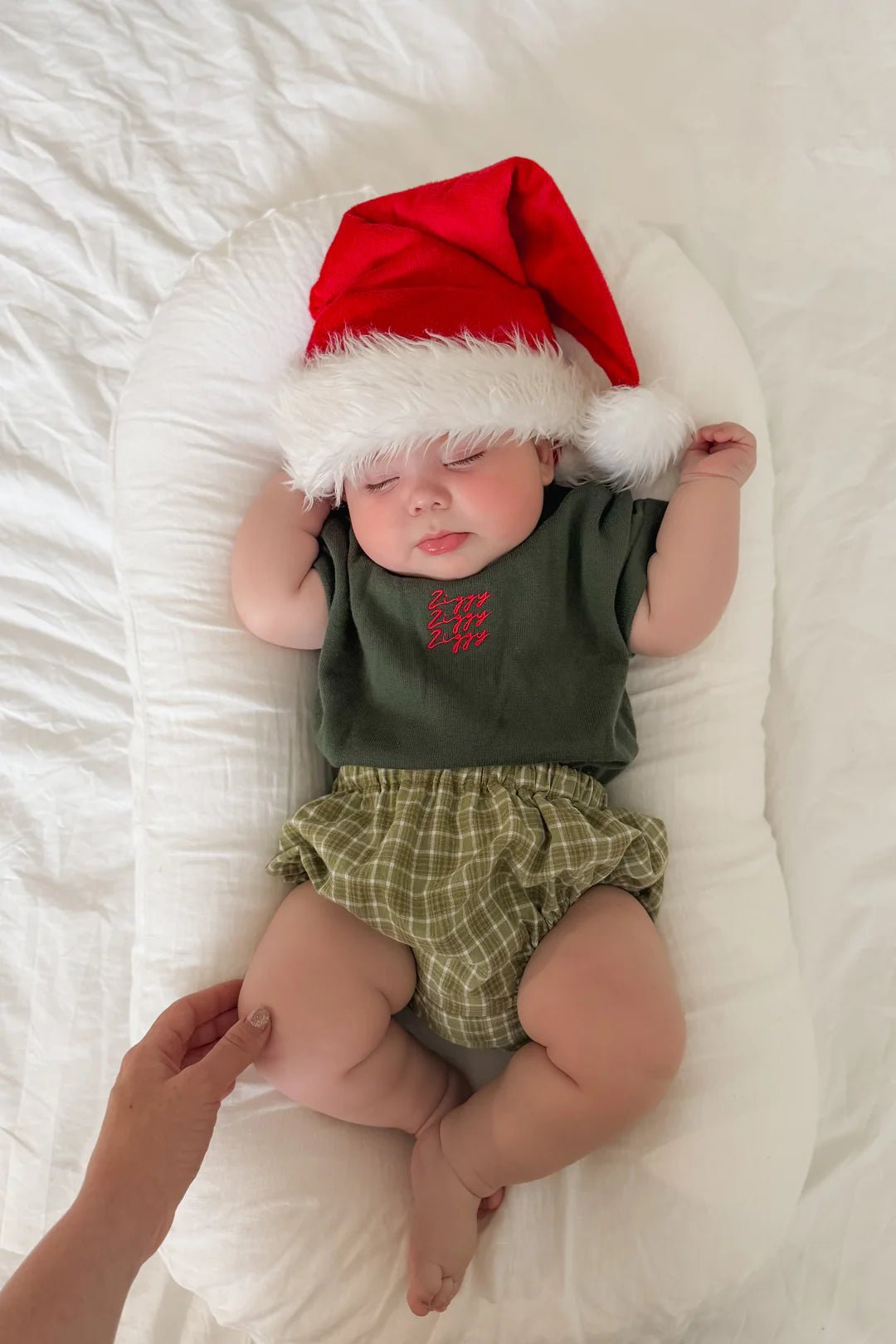 SIGNATURE TEE | FIR - Aster & Ruby