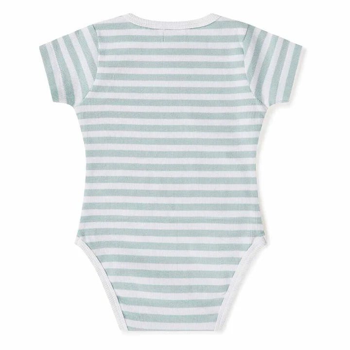 Snuggle Hunny SS Bodysuit - Sage Stripe - Aster & Ruby