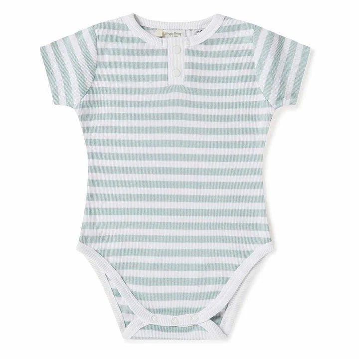 Snuggle Hunny SS Bodysuit - Sage Stripe - Aster & Ruby