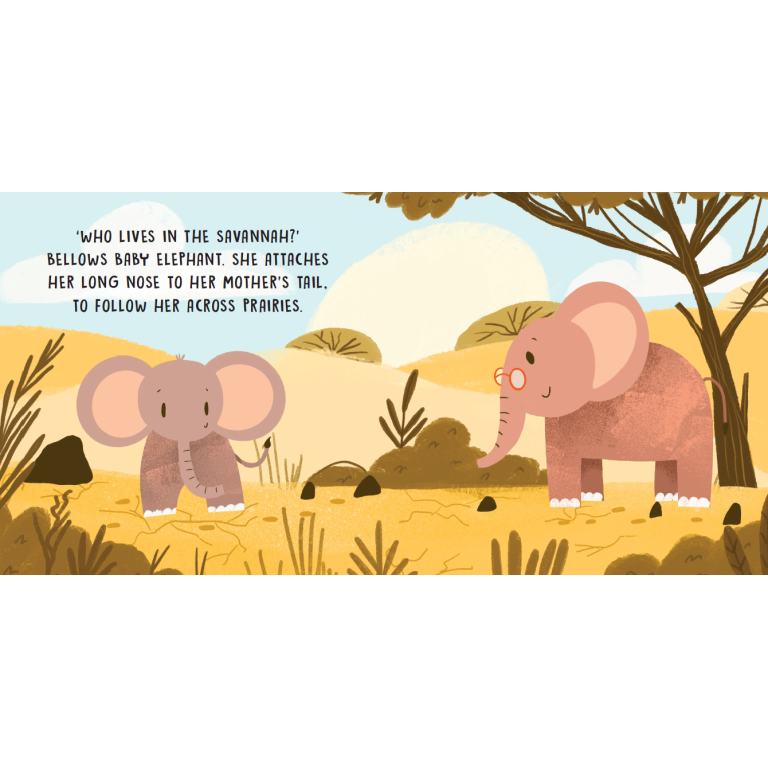 Sassi Junior Sweet Sound Stories The Savannah Board Book | Aster & Ruby