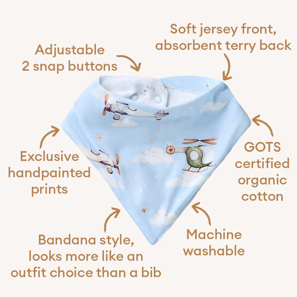 Taking Flight Organic Dribble Bib - Aster & Ruby