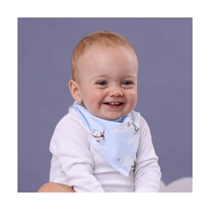 Taking Flight Organic Dribble Bib - Aster & Ruby