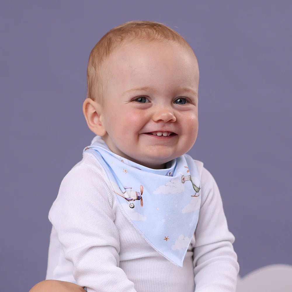 Taking Flight Organic Dribble Bib - Aster & Ruby