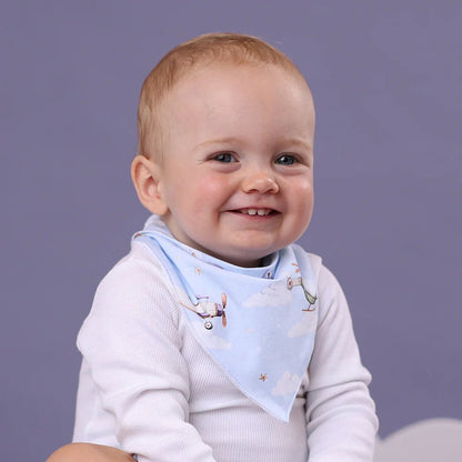 Taking Flight Organic Dribble Bib - Aster & Ruby