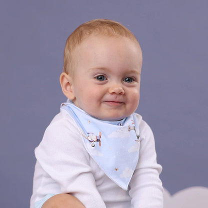 Taking Flight Organic Dribble Bib - Aster & Ruby