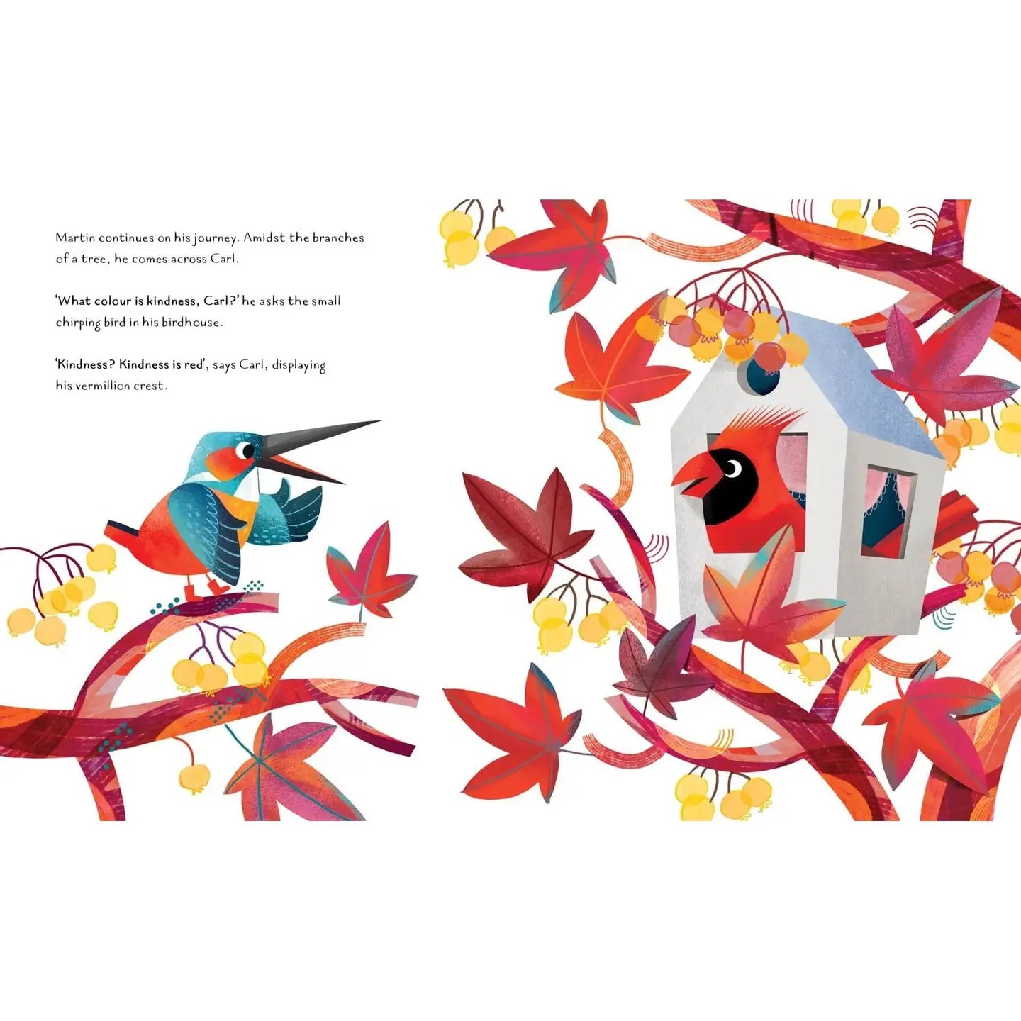 The Colour of Kindness Story Book - Aster & Ruby