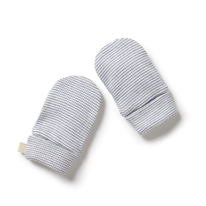 Wilson & Frenchy Rain Drop Stripe Rib Organic Mittens-Aster & Ruby