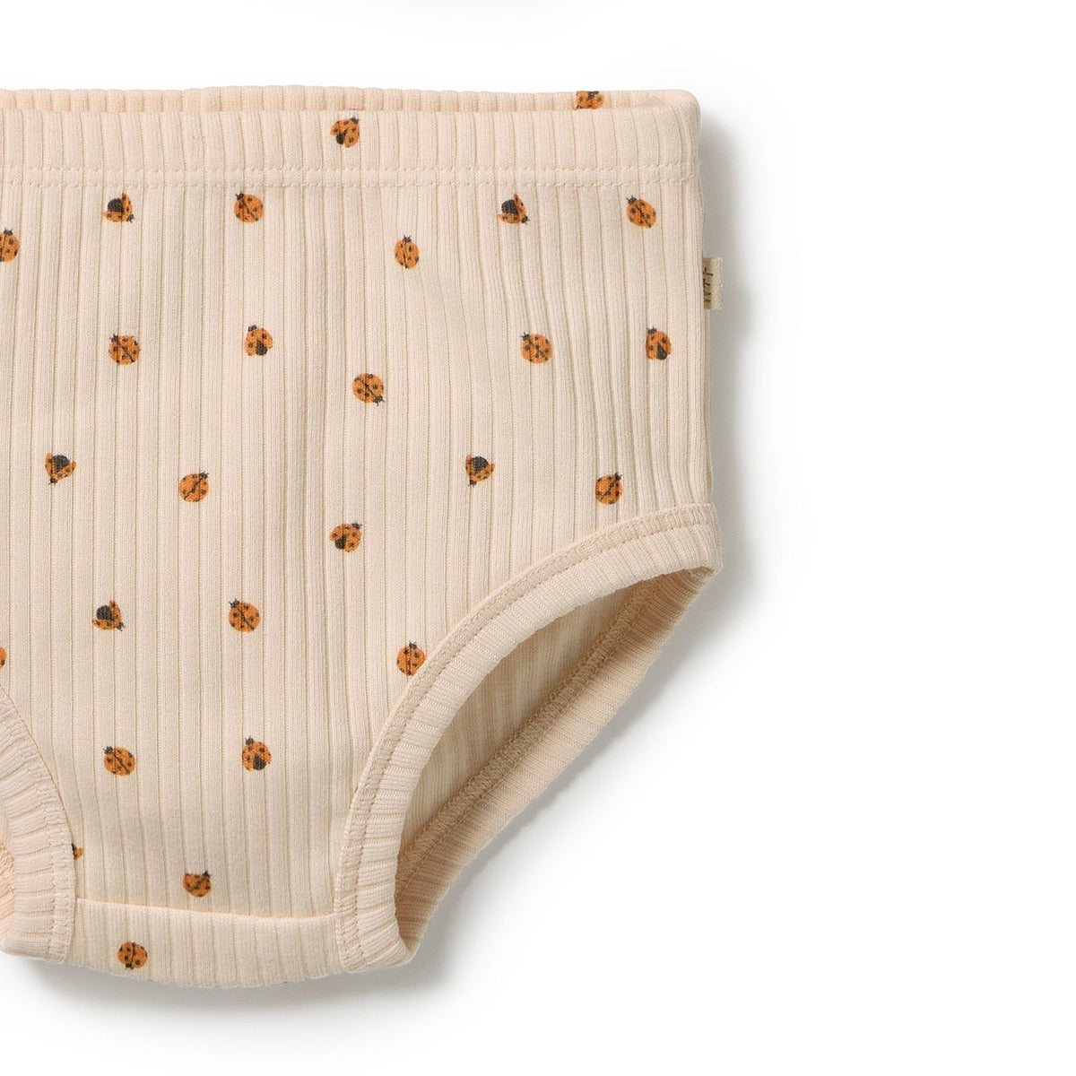 Little Lady Bugs Organic Dress Set