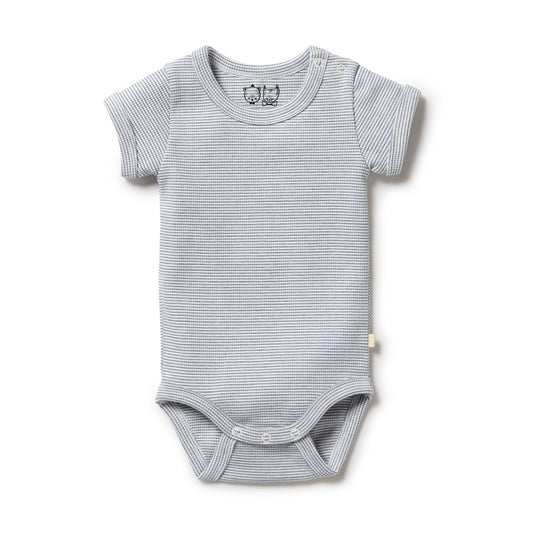 Organic Stripe Rib Bodysuit Rain Drop