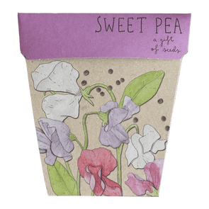 Sow 'n Sow Sweet Pea Gift of Seeds
