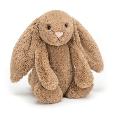 Biscuit Bashful Bunny