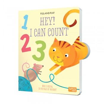 Sassi Hey I Can Count Pull & Play Book