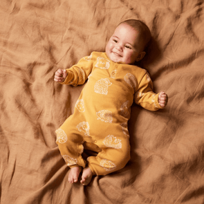 Nature Baby Henley Pyjama Suit Hedgehog